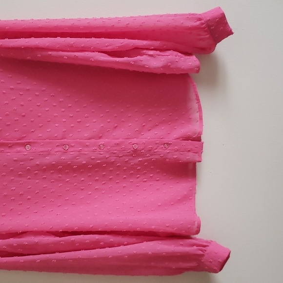H&M Barbie pink swiss dot long sleeve semi sheer button down blouse. Wom… - Picture 3 of 7